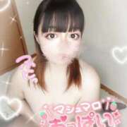 ヒメ日記 2025/12/28 09:06 投稿 【新人】ねる 神奈川小田原ちゃんこ