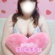 ヒメ日記 2025/12/28 15:59 投稿 【新人】ねる 神奈川小田原ちゃんこ