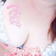 ヒメ日記 2025/12/29 08:46 投稿 【新人】ねる 神奈川小田原ちゃんこ