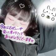 ヒメ日記 2025/02/17 20:50 投稿 いるな 五反田サンキュー