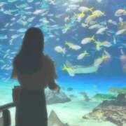 ヒメ日記 2025/02/21 14:24 投稿 藤原 おとなのわいせつ倶楽部 池袋店