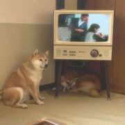 ヒメ日記 2025/03/06 03:04 投稿 藤原 おとなのわいせつ倶楽部 池袋店