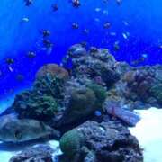 ヒメ日記 2025/02/22 13:13 投稿 すずな 西船人妻花壇