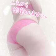 ヒメ日記 2025/03/26 10:36 投稿 本田ともか 五十路マダムエクスプレス横浜店（カサブランカグループ）