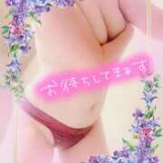 ヒメ日記 2025/12/13 09:24 投稿 本田ともか 五十路マダムエクスプレス横浜店（カサブランカグループ）