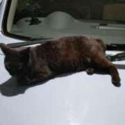 ヒメ日記 2025/11/27 20:16 投稿 沼倉（ぬまくら） 熟女の風俗最終章 名古屋店