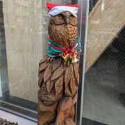 ヒメ日記 2025/12/09 14:32 投稿 沼倉（ぬまくら） 熟女の風俗最終章 名古屋店