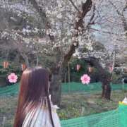 ヒメ日記 2025/04/03 15:19 投稿 まゆか チェックイン素人専門大人女子