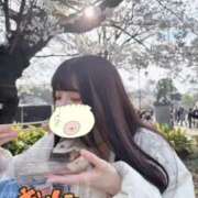 ヒメ日記 2025/04/05 13:09 投稿 まゆか チェックイン素人専門大人女子