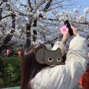 ヒメ日記 2025/04/06 15:09 投稿 まゆか チェックイン素人専門大人女子