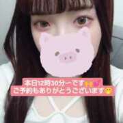 ヒメ日記 2025/04/13 11:59 投稿 まゆか チェックイン素人専門大人女子