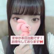 ヒメ日記 2025/05/29 11:19 投稿 まゆか チェックイン素人専門大人女子