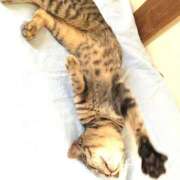 ヒメ日記 2025/10/17 11:45 投稿 ゆな先生 女教師