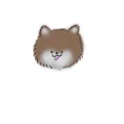 ヒメ日記 2025/02/12 22:16 投稿 瀬名くるみ ABC 岩手ソープ