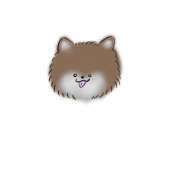 ヒメ日記 2025/02/26 15:16 投稿 瀬名くるみ ABC 岩手ソープ