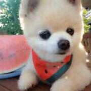 ヒメ日記 2025/03/07 22:16 投稿 瀬名くるみ ABC 岩手ソープ