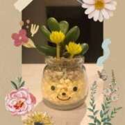 ヒメ日記 2025/03/09 22:01 投稿 瀬名くるみ ABC 岩手ソープ