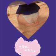 ヒメ日記 2025/03/12 08:46 投稿 瀬名くるみ ABC 岩手ソープ