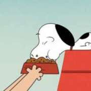 ヒメ日記 2025/03/17 15:31 投稿 瀬名くるみ ABC 岩手ソープ