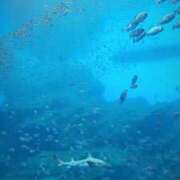 ヒメ日記 2025/04/11 22:01 投稿 瀬名くるみ ABC 岩手ソープ