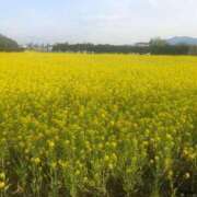 ヒメ日記 2025/05/06 21:01 投稿 瀬名くるみ ABC 岩手ソープ