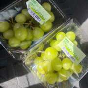 ヒメ日記 2025/09/28 10:46 投稿 瀬名くるみ ABC 岩手ソープ