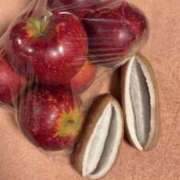 ヒメ日記 2025/10/03 15:31 投稿 瀬名くるみ ABC 岩手ソープ