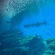 ヒメ日記 2025/10/29 11:46 投稿 瀬名くるみ ABC 岩手ソープ