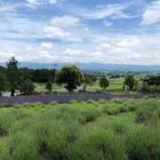 ヒメ日記 2025/11/04 08:01 投稿 瀬名くるみ ABC 岩手ソープ