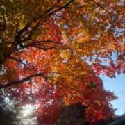 ヒメ日記 2025/11/11 14:31 投稿 瀬名くるみ ABC 岩手ソープ