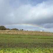 ヒメ日記 2025/11/14 08:01 投稿 瀬名くるみ ABC 岩手ソープ