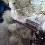 ヒメ日記 2025/11/25 16:01 投稿 瀬名くるみ ABC 岩手ソープ