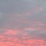 ヒメ日記 2025/12/30 06:46 投稿 瀬名くるみ ABC 岩手ソープ