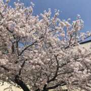 ヒメ日記 2026/04/20 21:46 投稿 瀬名くるみ ABC 岩手ソープ