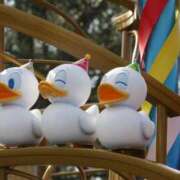 ヒメ日記 2025/04/11 17:59 投稿 るい ホテピン