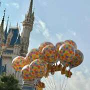 るい さむい🥶 ホテピン