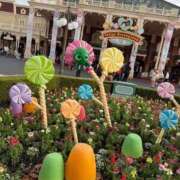 ヒメ日記 2026/03/08 10:58 投稿 るい ホテピン