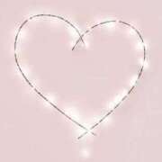 ヒメ日記 2026/01/16 19:08 投稿 はるな ロイヤル土佐