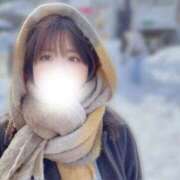 ヒメ日記 2025/02/07 09:46 投稿 しほ CECIL