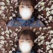 ヒメ日記 2025/03/23 00:05 投稿 しほ CECIL