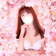 ヒメ日記 2025/03/28 23:21 投稿 しほ CECIL