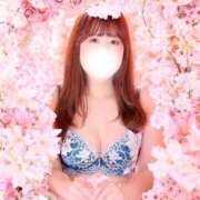 ヒメ日記 2025/04/07 17:13 投稿 しほ CECIL