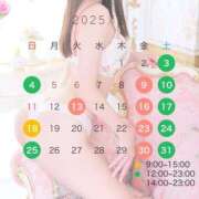 ヒメ日記 2025/05/01 13:58 投稿 しほ CECIL