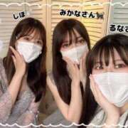 ヒメ日記 2025/06/11 00:16 投稿 しほ CECIL