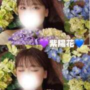 ヒメ日記 2025/06/13 16:03 投稿 しほ CECIL