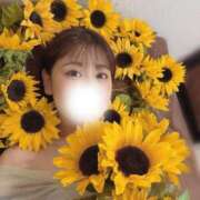 ヒメ日記 2025/07/19 23:48 投稿 しほ CECIL