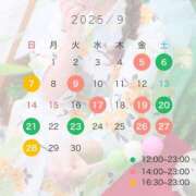 ヒメ日記 2025/08/29 10:08 投稿 しほ CECIL