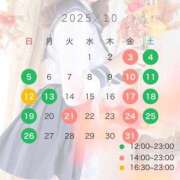 ヒメ日記 2025/09/25 14:01 投稿 しほ CECIL