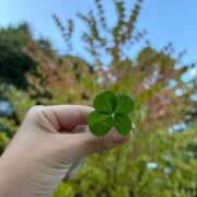 ヒメ日記 2025/09/30 19:41 投稿 しほ CECIL