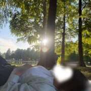 ヒメ日記 2025/10/03 11:25 投稿 しほ CECIL